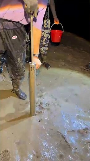 Pumping Mantis Shrimp Out of the Ground