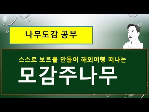 모감주나무 : 스스로 보트를 만들어 해외여행 떠나는