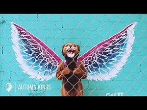 Autumn Kings - If I Leave Today (Official Music Video)