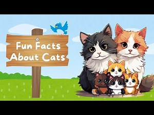 Fun Facts About Cat | Kitties For Kids | Fun & Educational Video For Kids