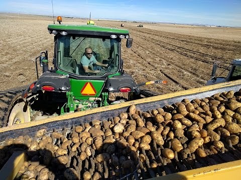 Idaho Potato Harvest