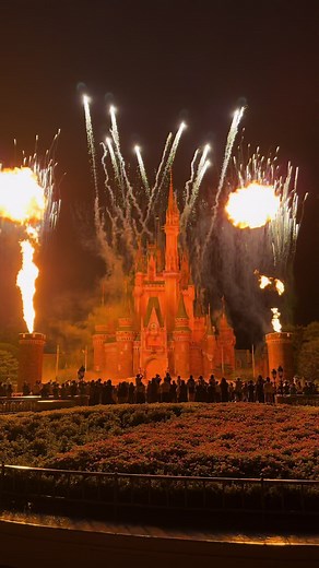 東京ディズニーランド「Reach for the stars」公演の魅力
