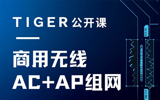 企业级WLAN项目实战课！商用无线AC AP组网技术原理 配置实战！网络工程师入行必学课程！华为认证思科认证HCIAHCIECCNACCIE