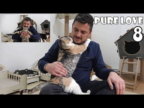 When you rescue a sick cat's life, it will show you what true love is. Cute cat hugs her savior.