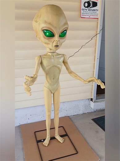Area 51 Roswell Alien by SVI and Halloweencostumes.com