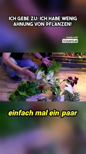 I admit, I don't know much about plants! #terrarium