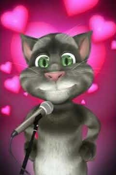 Gato Tom " estoy preocupado por ti no me has mandado un WhatsApp "