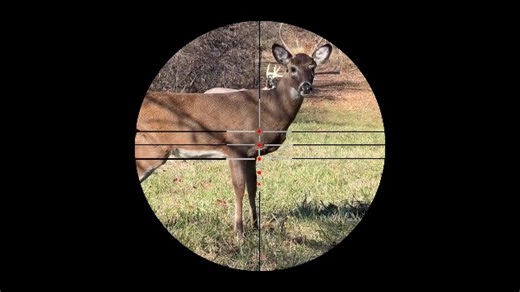 Watch MA3TY 4X32 Crossbow Scope on Amazon Live