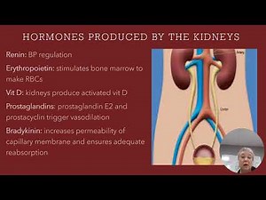 Module 7a Recorded lecture URINARY STDs