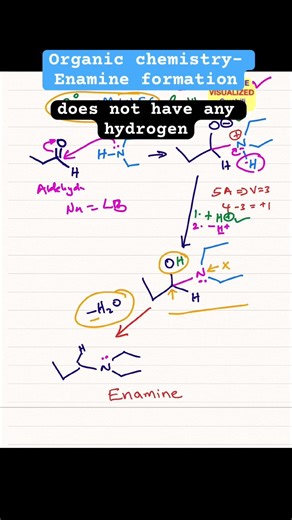 Organic chemistry- Enamine formation. #alkenes #amine #imine #shorts