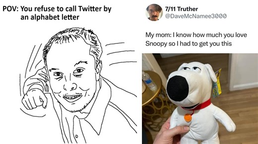 23 Memes About Everything Plucked From The Pools Of Social Media