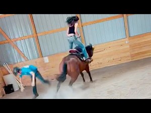 Is This A KIDS Horse or a RODEO Bronc?