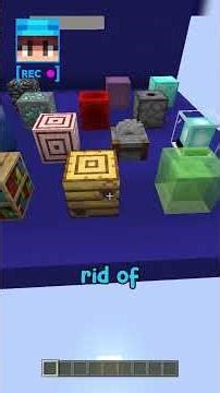 Guess the Block Challenge in Minecraft!