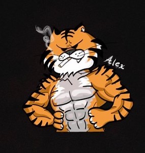 【APEX】アレックス(ALEX)の使用デバイス・設定・キー配置・感度・視野角まとめ【Settings】 | かげログ。