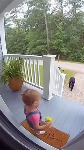 Dog saves baby from a bear 🐻 😱 #fypシ #wild #virals #dogs #bear | OVI Graphics