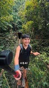 Mulu National Park - Canopy Sky Walk - Paku Waterfall - Fastlane 💚 #gunungmulunationalpark