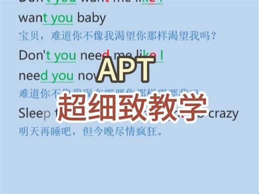 APT 教学 细致讲解版