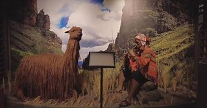 Peru's beloved Alpaca plays vital role in country's culture, economy