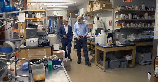 Could genetic engineering reverse aging?