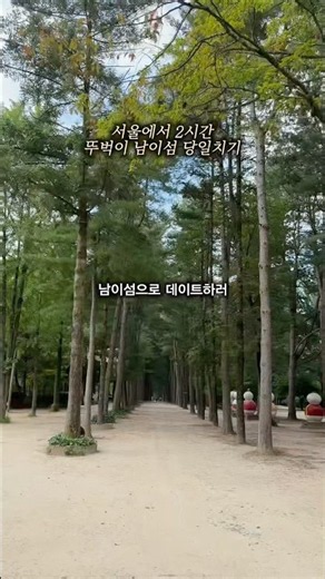 서울에서 한시간, 당일치기 남이섬 다녀왔습니다 #여행