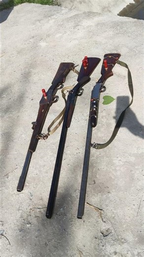 3 Shotguns Every Collector Needs to See!