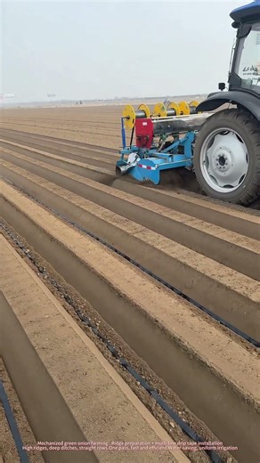 How Farmers Plant Green Onions at Scale | Ridge + Drip Irrigation​