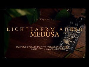 A modern take on the Boss HM2 - Lichtlaerm Audio Medusa | Vignette Demos