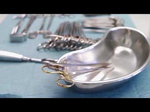 TLC HD - Программа передач