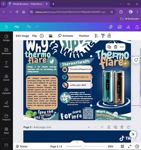 Creative Trifold Brochure Design Ideas with Canva