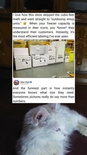 A Soft Label Surprise