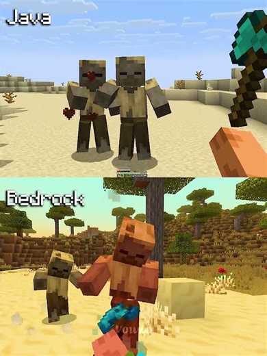 Minecraft Actions and Stuff Java vs Bedrock Part 52