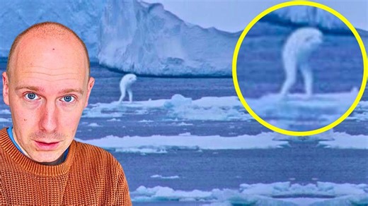 "We Tried to Warn You" - Japanese Science Experiment Went Wrong | Off The Kirb Ministries