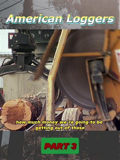 Heavy Machinery in Logging: Nature vs Machine