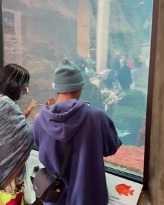 21K views · 53 reactions | Lila Downs on Reels | Facebook