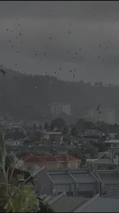 Another view of the wind storm in west Trinidad. | Angry Trini