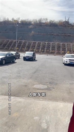 Funny frog 😂😂 #like #love #memesdaily #laugh #instagram #dank #funny #fun #dailymemes #jokes #memes #meme #explorepage #follow #comedy #viral #funnyvideos | Funny Frogs