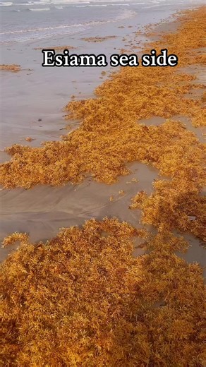 Exploring Esiama Sea Side