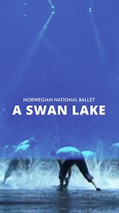 194 reactions · 36 shares | Marquee TV is your destination for dance. Make time for Marquee TV and watch performances from around the world. | Marquee TV | Facebook