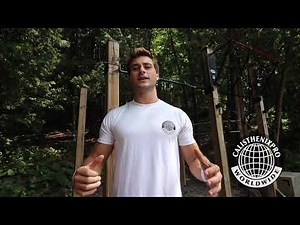 10 Basics Dynamic Skills to Start Freestyle Calisthenics!