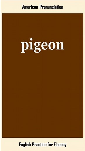 pigeon, How to Say or Pronounce PIGEON in American, British English, Pronunciation