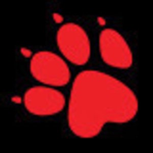 NaughtyDog - Twitch