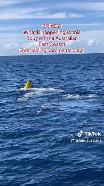 Understanding the East Australian Current Phenomenon