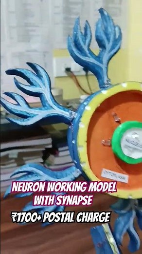 Neuron Working Model with Synapse| best Science model | school Model and Projects