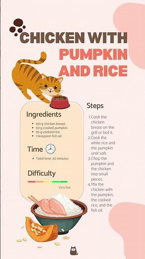 3 HOMEMADE MEALS for CATS with KIDNEY FAILURE! 🐈🥣 #Cats #SHORTS