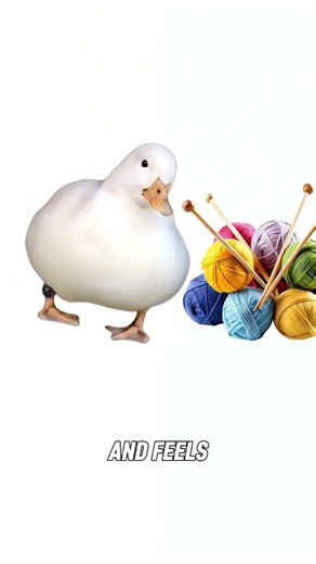 Hyperfixation Explained by Ducks | Why ADHD Brains Obsess Over New Hobbies | #duck #adhd