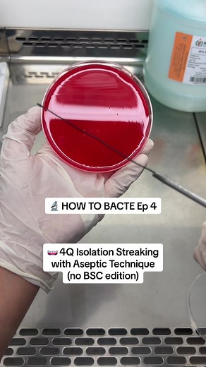 Advanced Streak Techniques for Microbiology Students