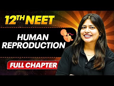 Human Reproduction FULL CHAPTER | Class 12th Zoology | PhysicsWallah