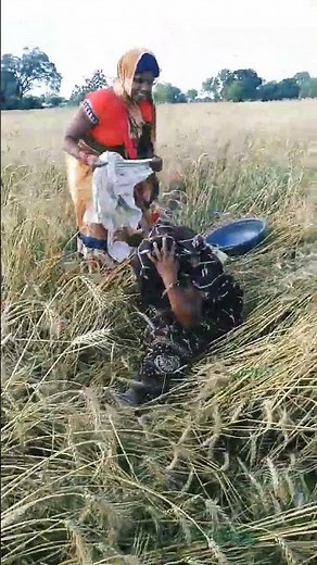 Unleashing the Healing Power of Honey Bee Venom: A Natural Remedy for Health and Wellness