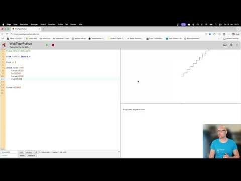 Die While-Schleife in Python