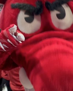 8.4K views | University of Arkansas on Reels | Facebook